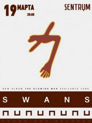 Swans