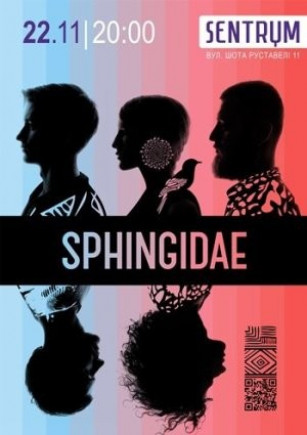 Sphingidae