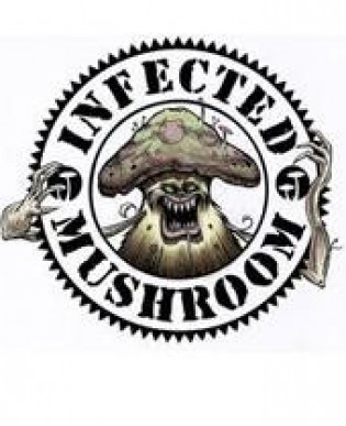 Группа INFECTED MUSHROOM