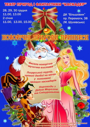 Новогодние приключения принцессы
